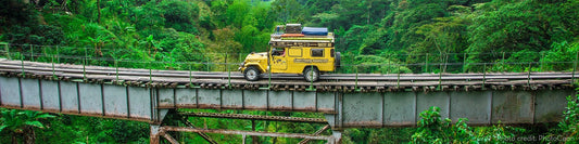 Landcruising Adventurers - Armadillo Merino Champions