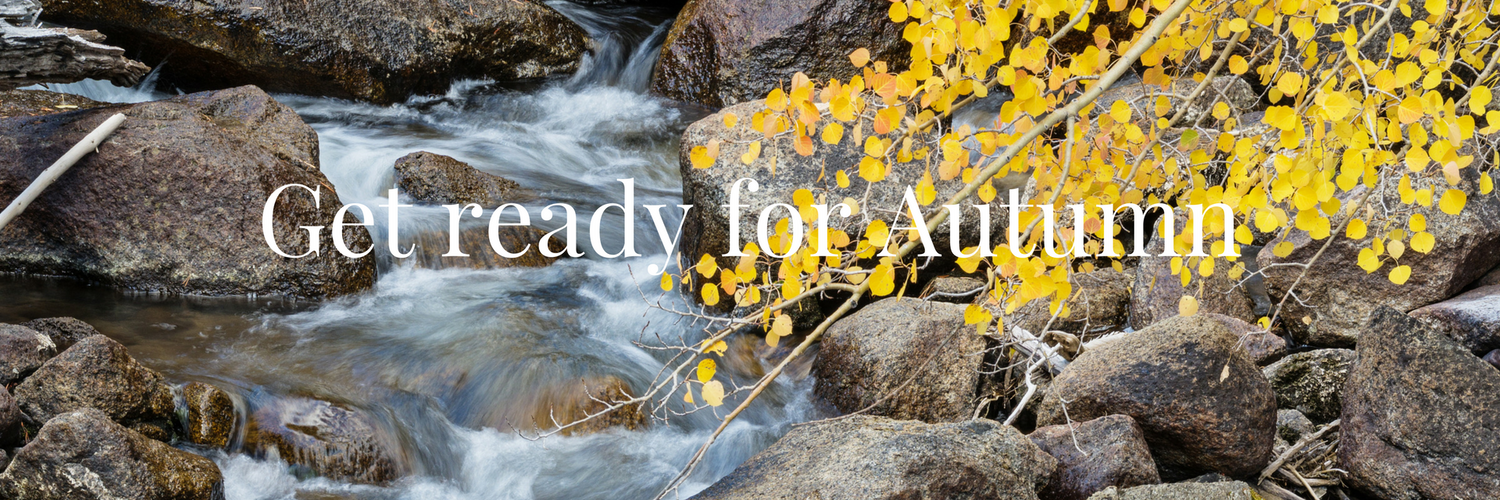 Get ready for Autumn with Armadillo Merino